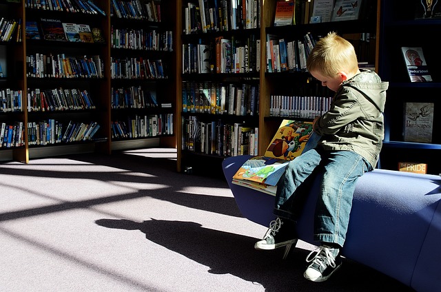 5 Alasan Mengapa Perpustakaan Sekolah Sangat Penting untuk Pengembangan Karakter Siswa